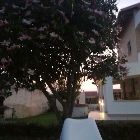 シラクーサ La Casa Delle Farfalle Bed & Breakfast エクステリア 写真